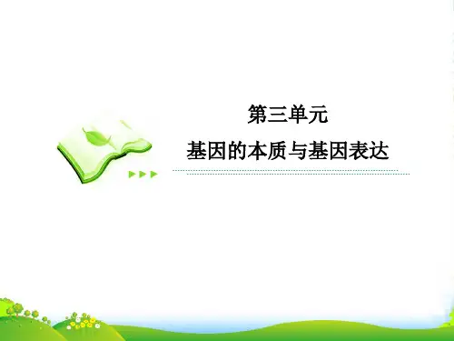 高考生物一轮复习 第2讲 DNA分子的结构、复制与基因的本质课件 新人教必修2