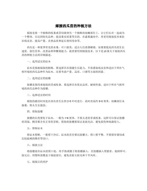 嫁接西瓜苗的种植方法