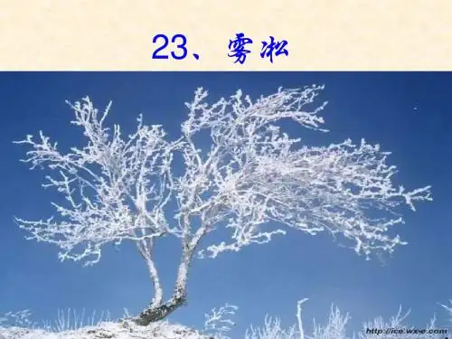 雾凇ppt课件