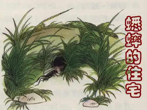小学四年级语文上册第二单元第七课《蟋蟀的住宅》参考课件(人教版)