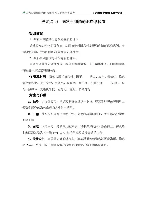 技能点13病料中细菌的形态学检查.