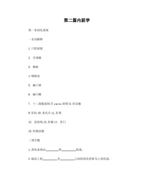 临床医学解剖学试题消化系统