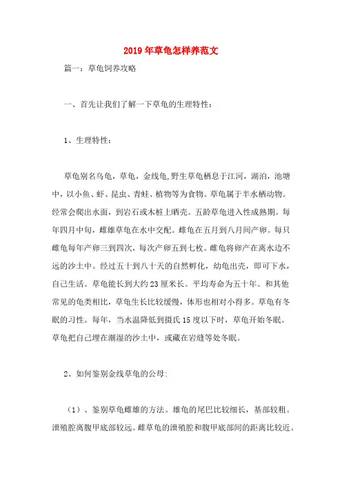 2019年草龟怎样养范文