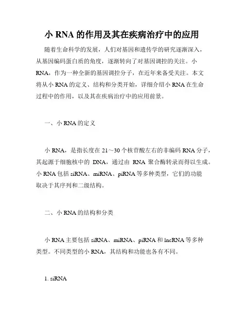 小RNA的作用及其在疾病治疗中的应用