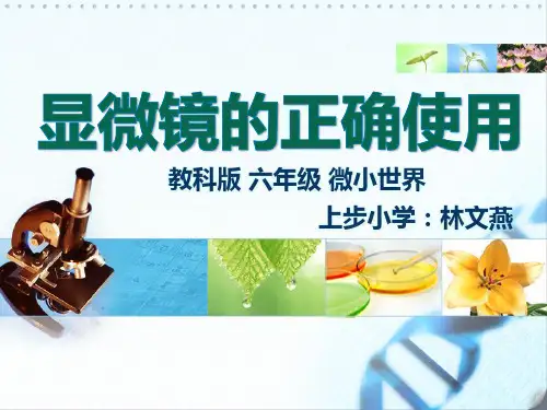 深圳优质课件     小学科学显微镜的正确使用