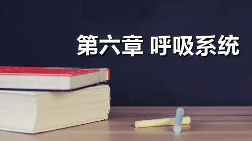 呼吸系统解剖生理