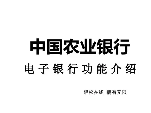 中国农业银行电子银行功能简介PPT(20张)