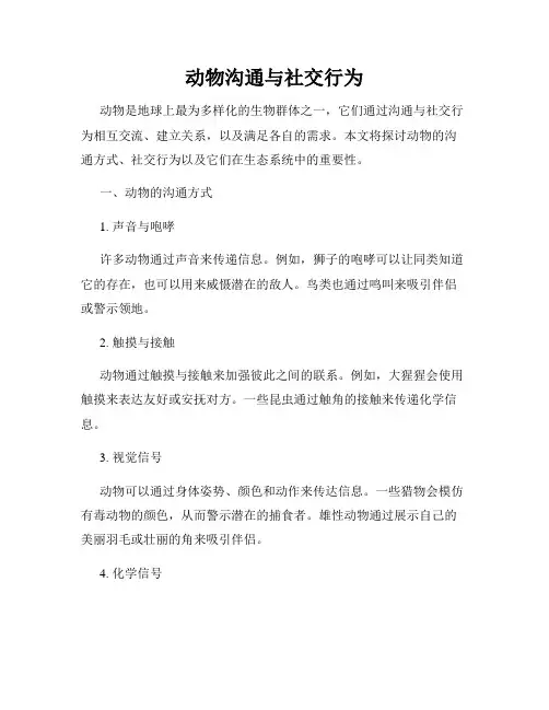 动物沟通与社交行为