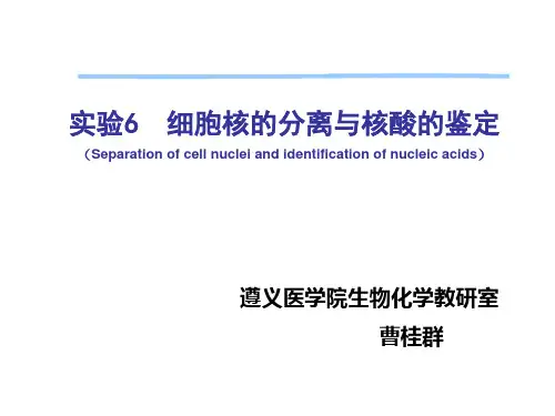 实验六 细胞核的分离与核酸的鉴定