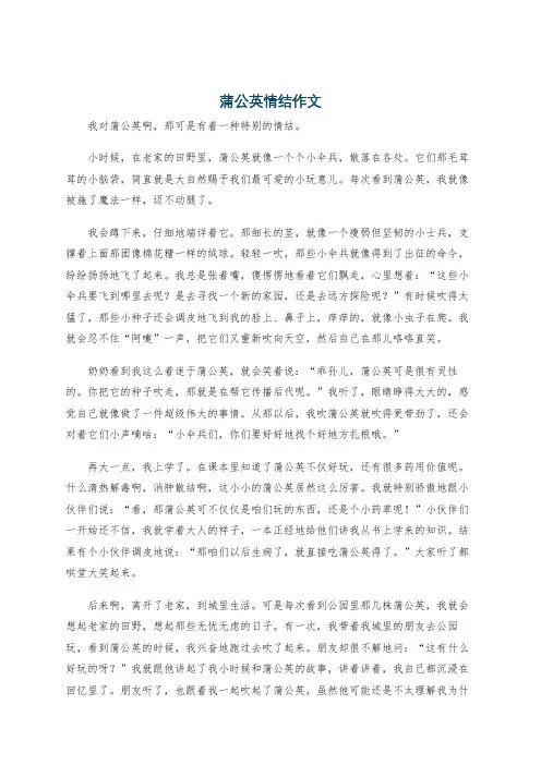 蒲公英情结作文