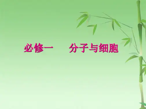 度高三生物第一轮复习课件走近细胞(共56张PPT)