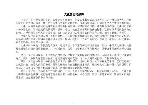 文化的名词解释