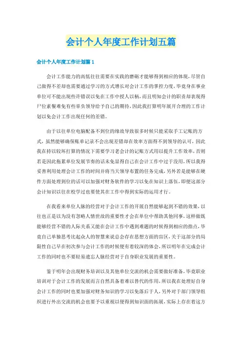 会计个人年度工作计划五篇