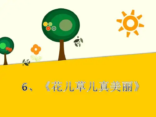 【部编版】花儿草儿真美丽教学课件1