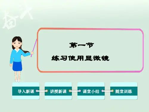 七年级生物1.第一节练习使用显微镜