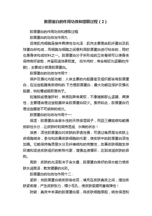 胶原蛋白的作用功效和提取过程（2）