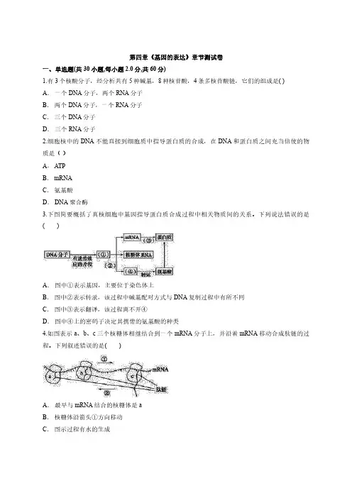 人教版高中生物必修2第四章《基因的表达》测试卷(含解析版)