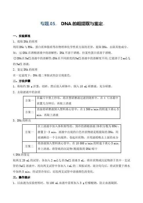 实验05DNA的粗提取与鉴定(原卷版)