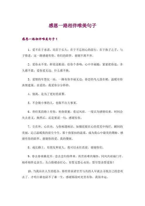 感恩一路相伴唯美句子