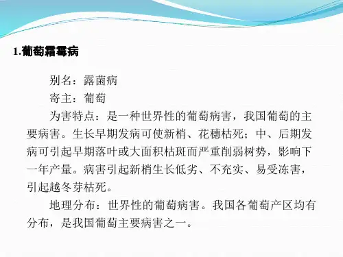 葡萄病害诊断与防治.ppt