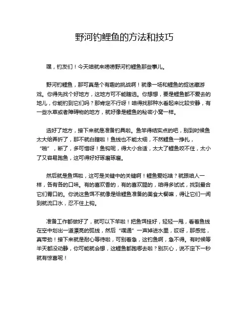 野河钓鲤鱼的方法和技巧