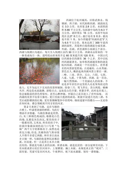 艺术生考察报告