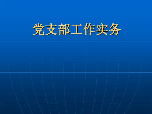 新党支部工作实务