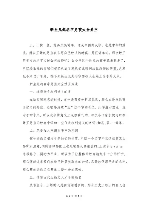 新生儿起名字男孩大全姓王