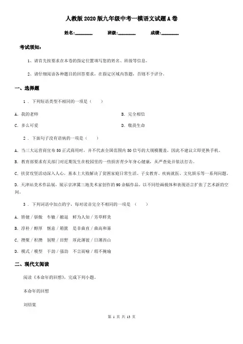 人教版2020版九年级中考一模语文试题A卷