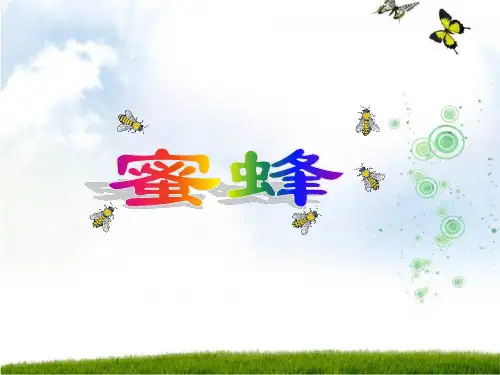 人教版语文三年级上册第十四课蜜蜂教研课