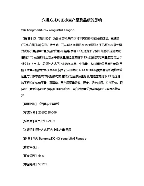 穴播方式对冬小麦产量及品质的影响