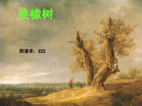 《致橡树》朗诵PPT模板【精品荟萃】