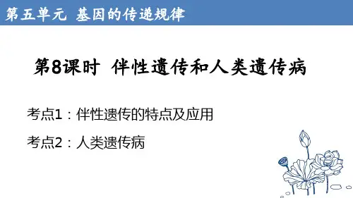 一轮复习伴性遗传和人类遗传病课件