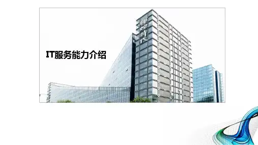 某公司IT服务能力介绍