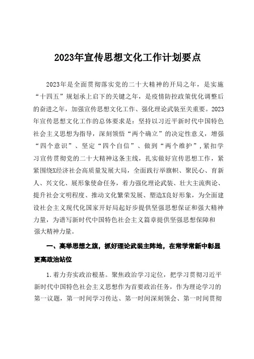 2023年宣传思想文化工作计划要点