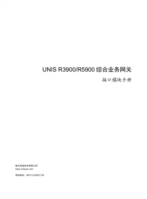 紫光恒越UNIS R3900 R5900综合业务网关接口模块手册说明书