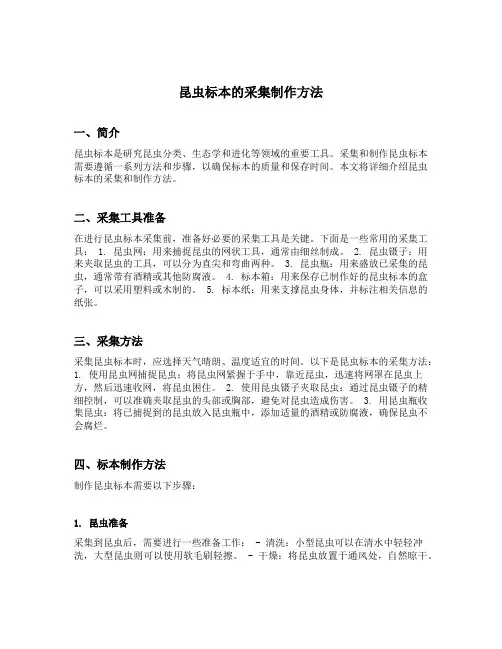 昆虫标本的采集制作方法