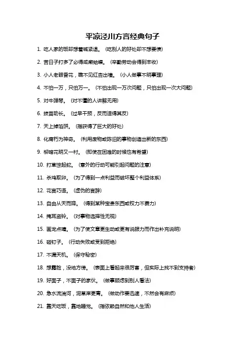 平凉泾川方言经典句子