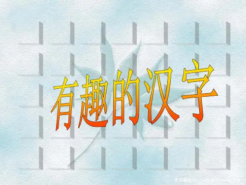 人教版五年级上册语文-有趣的汉字精品PPT课件