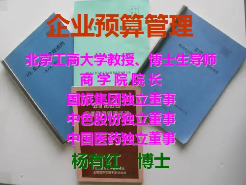 预算分析 PPT课件