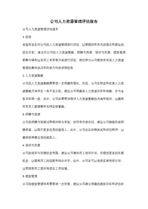 公司人力资源管理评估报告