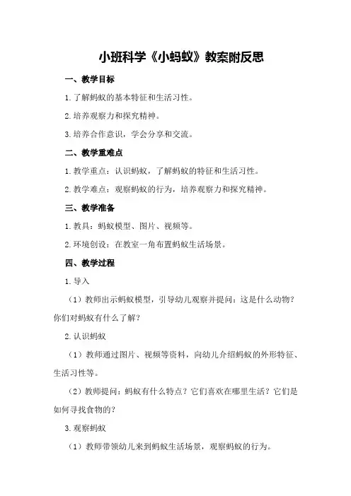 小班科学《小蚂蚁》教案附反思