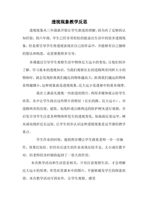 透视现象教学反思