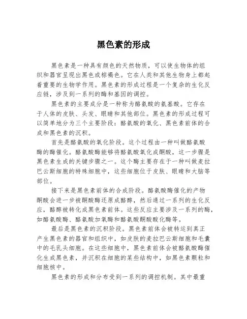 黑色素的形成