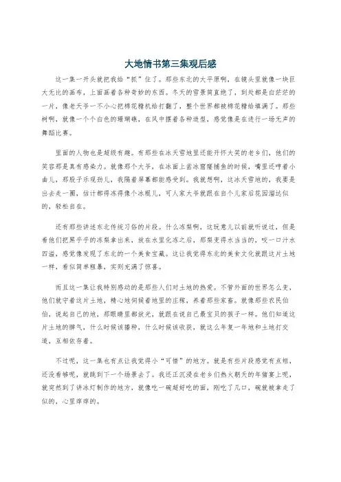 大地情书第三集观后感