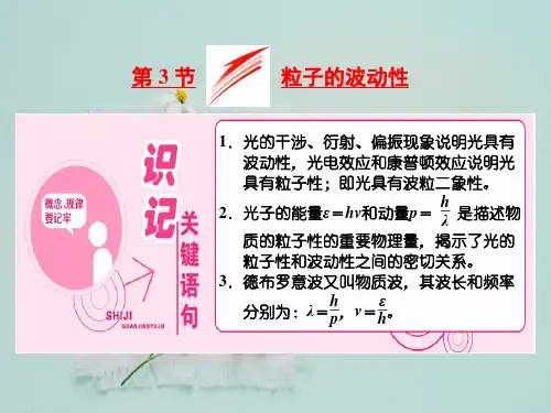 物理选修3-517.3《粒子的波动性》ppt课件