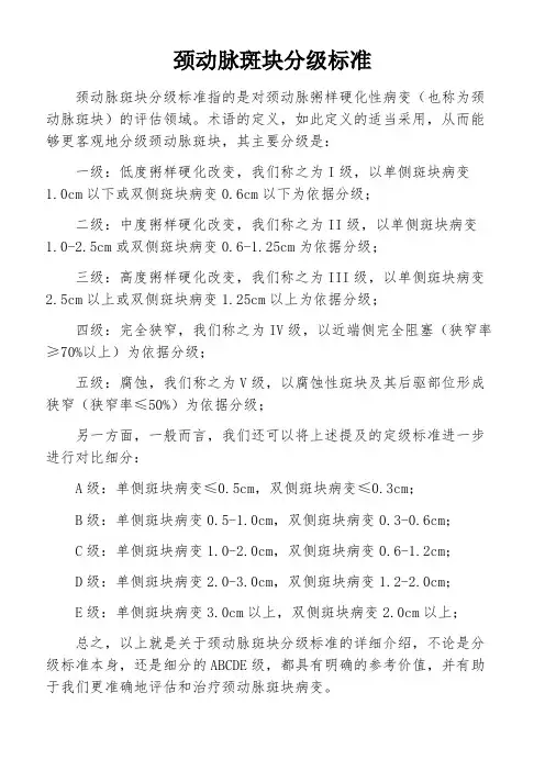 颈动脉斑块分级标准