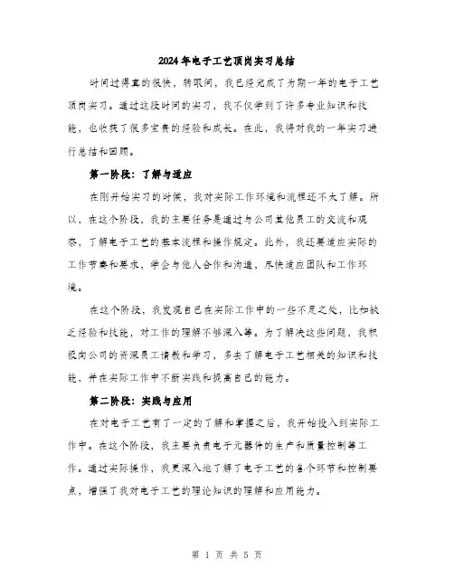 2024年电子工艺顶岗实习总结（2篇）