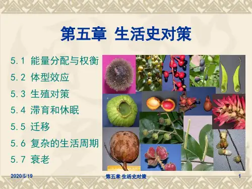 河南科技大学生态学课件第5章 生活史对策