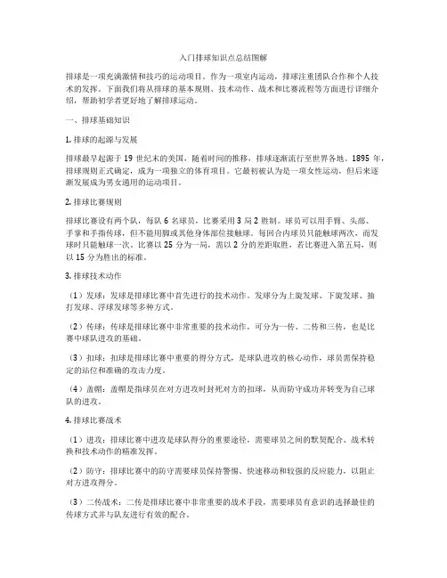 入门排球知识点总结图解